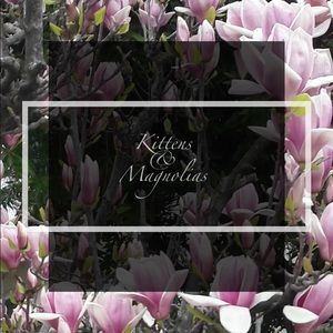 🌿Make an offer!🌿